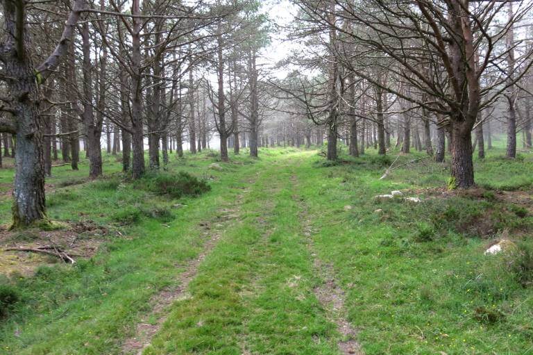 Necropolis tumular de la Sierra de Pumarín, Villanueva de Oscos, Asturias