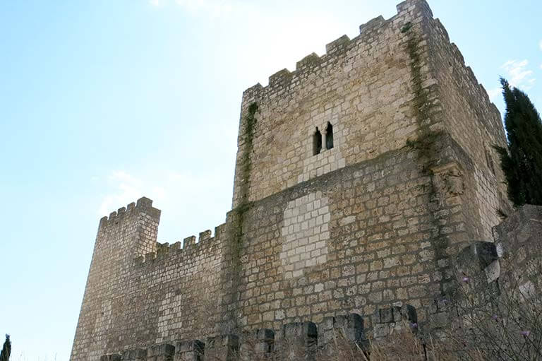 Castillo de Encinas de Esgueva. Valladolid