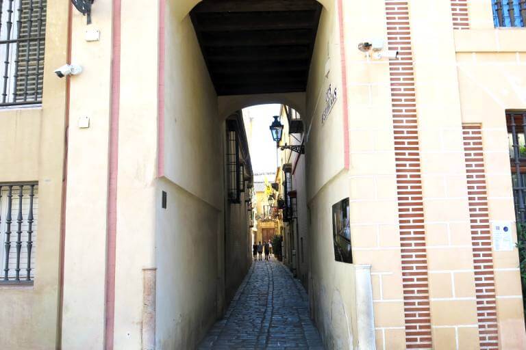Las Casas de la Judería de Sevilla
