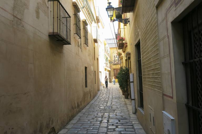 Las Casas de la Judería de Sevilla