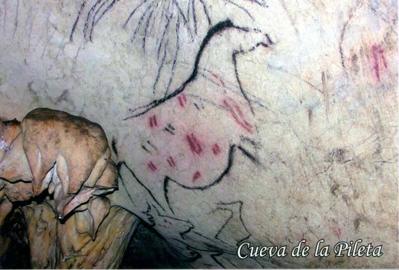 Cueva de La Pileta: Yegua preñada del Paleolítico Superior