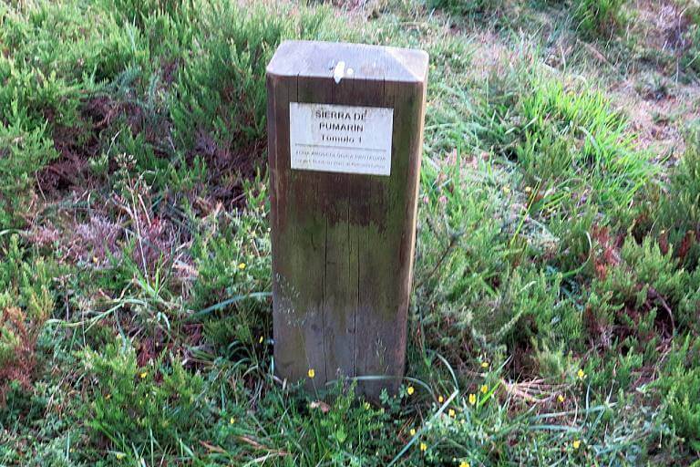 Necropolis tumular de la Sierra de Pumarín, Villanueva de Oscos, Asturias