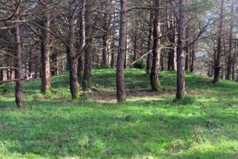 Necrópolis tumular de la Sierra de Pumarín, Villanueva de Oscos, Asturias