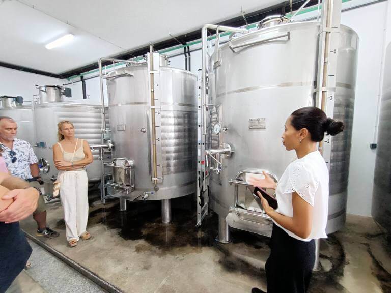 Bodegas Bentomiz