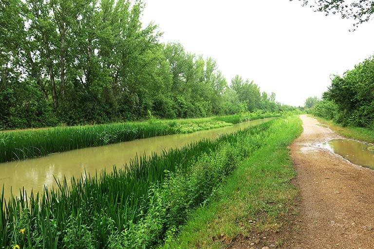 Canal de Castilla. Camino de sirga Esclusas 5 Canal del Norte