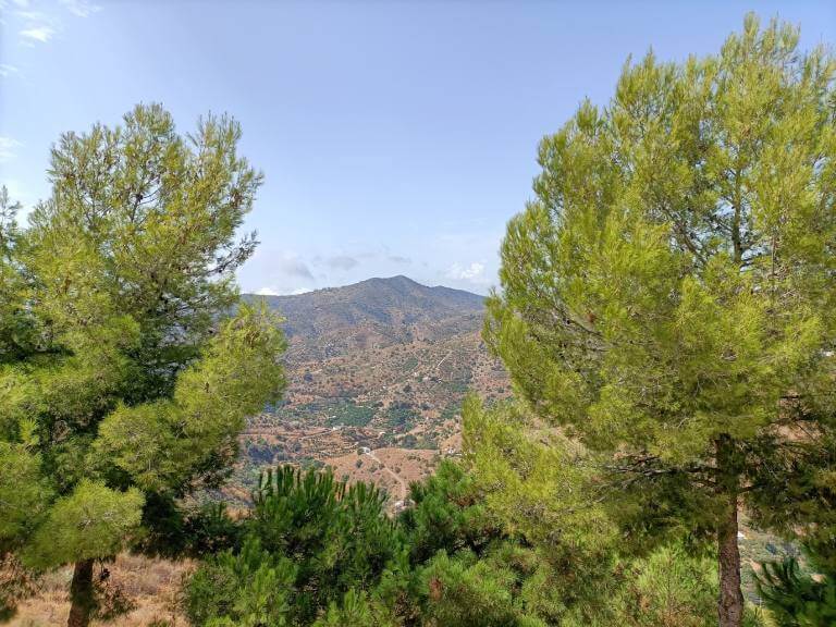Bodegas Bentomiz