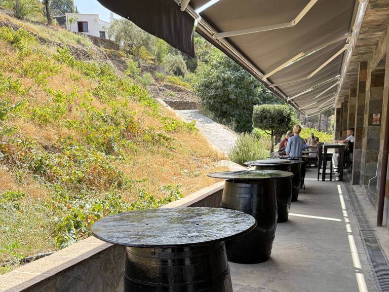 Bodegas Bentomiz