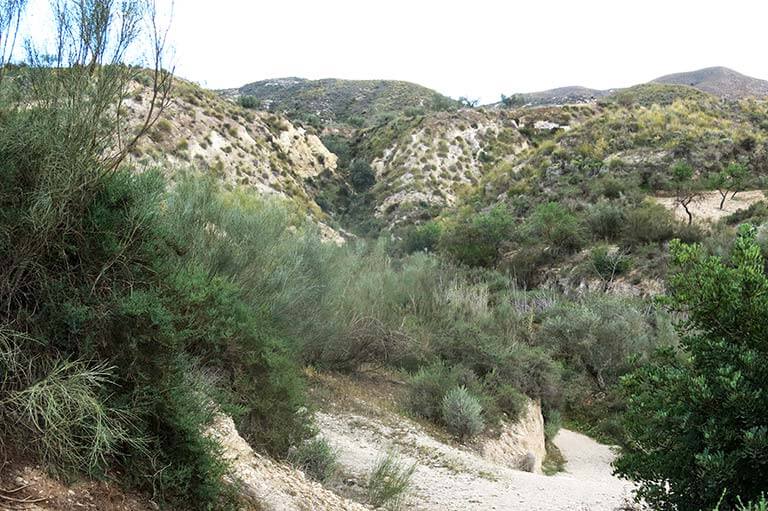 F47 Parque natural karst en yesos de Sorbas. Cueva del Agua, Almeria