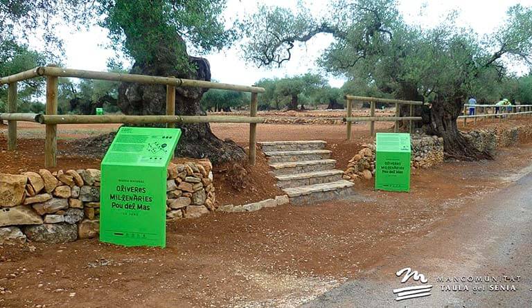 Museo Natural de Pou del Mas, Castello, fotografia-institucional