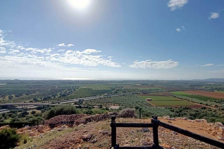 Poblado ibero de El Puig de la Nau, Castellon
