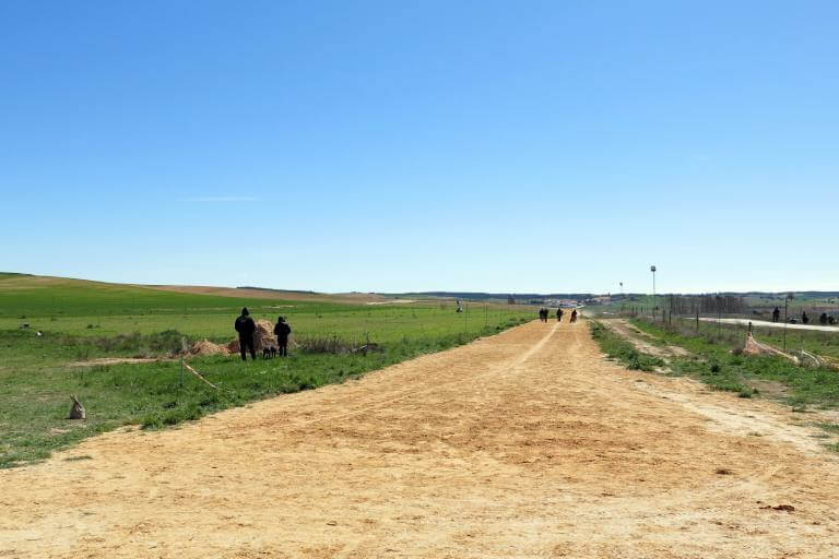 Pista de regates El, Molino, Carrascosa de Haro